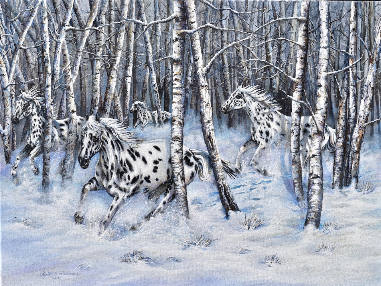 Appaloosa Aspen