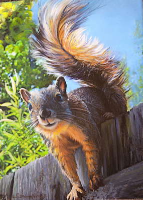 Glendoveer Squirrel