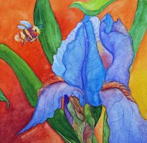 Iris & Bumblebee 520k