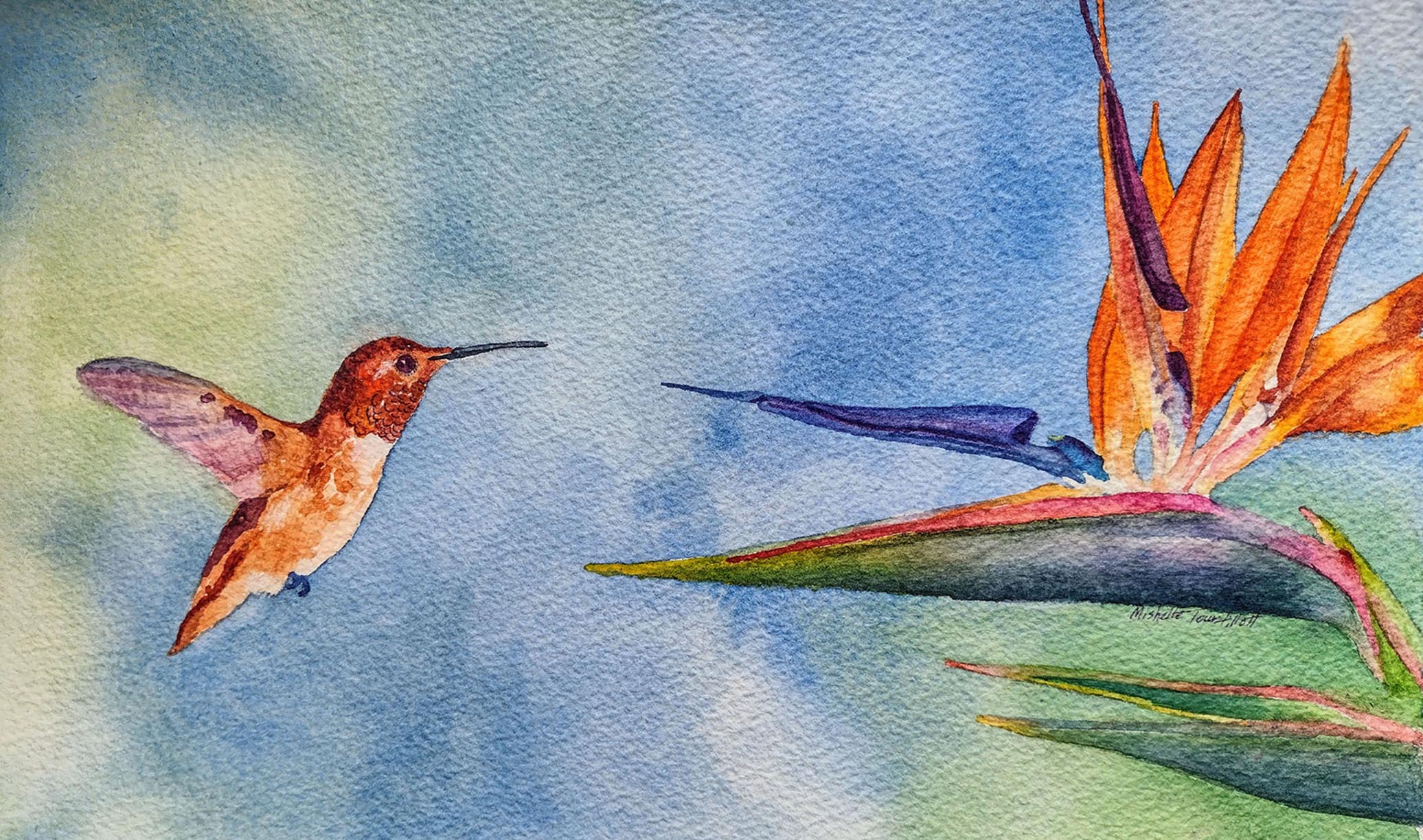 Whats The Point brownsville